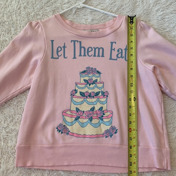 WILDFOX LET THEM EAT CAKE SWEATSHIRT - Picture 6 of 11